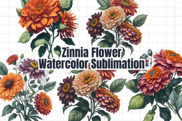 Download Zinnia Flower Watercolor Sublimation - Watercolor Collection
