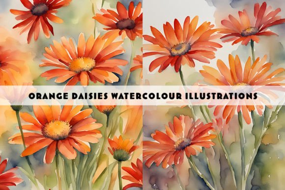 Download Orange Daisies Watercolour Duo - Daisies Collection
