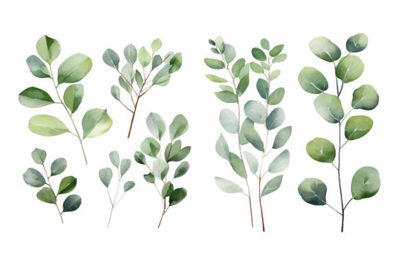 Download Baby Blue Watercolor Eucalyptus Clipart - Watercolor Collection