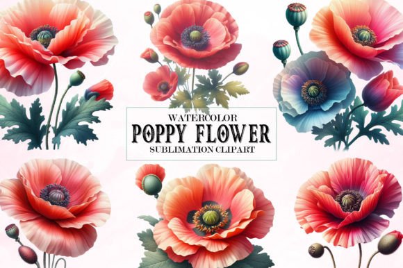 Download Watercolor Poppy Flower Clipart Bundle - Watercolor Collection