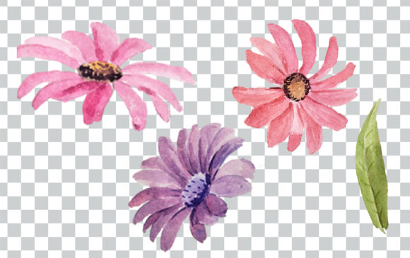 Download Watercolor Flower Bouquet and Frame Clip - Watercolor Collection
