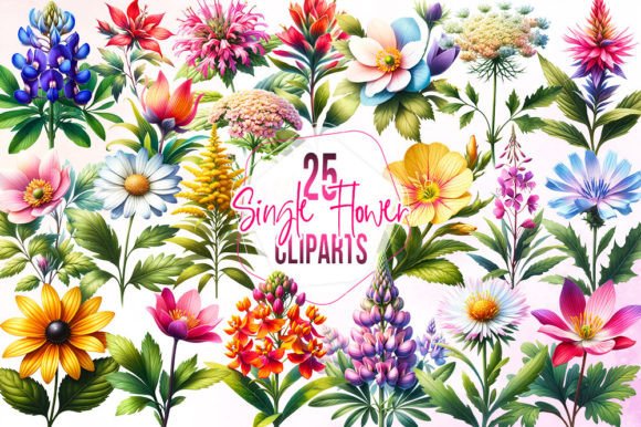 Download Watercolor Single Flower Clipart - Watercolor Collection